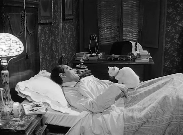 L'impiegato - Fernando Nino Manfredi in bed with white cat Romoletto