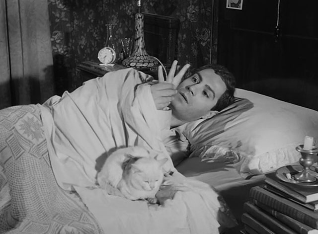 L'impiegato - Fernando Nino Manfredi in bed with white cat Romoletto