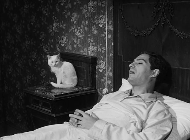 L'impiegato - Fernando Nino Manfredi in bed with white cat Romoletto on nearby stand