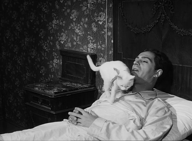 L'impiegato - Fernando Nino Manfredi in bed with white cat Romoletto on chest