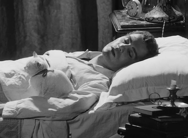 L'impiegato - Fernando Nino Manfredi sleeping in bed with white cat Romoletto