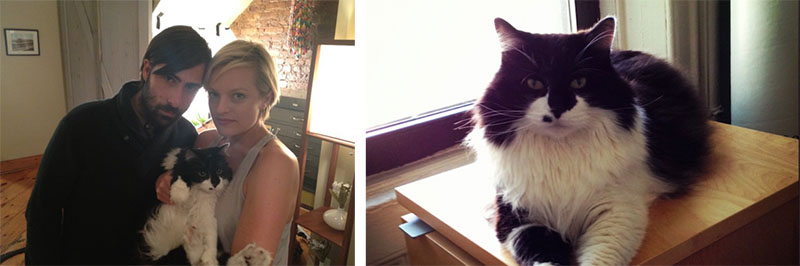 Listen Up Philip - Ashley Elisabeth Moss with longhair tuxedo cat Gadzookey Fluffy and Philip Jason Schwartman on set