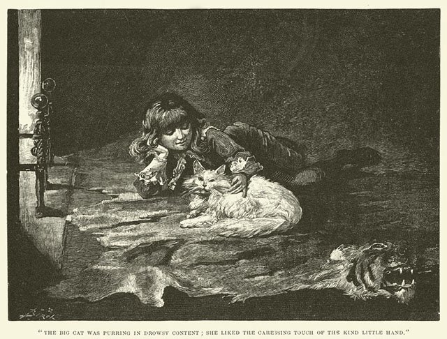 Little Lord Fauntleroy - illustration by Reginald Bathurst Birch of Ceddie petting longhair cat