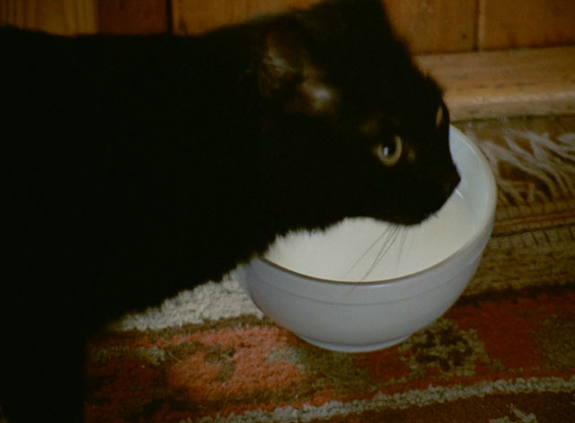 Little Otik - black cat Mikeš with bowl of milk