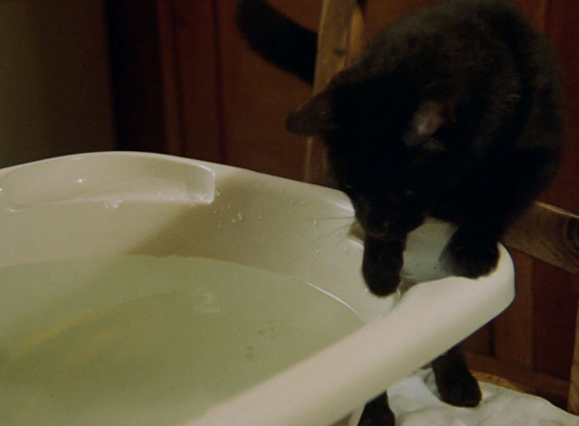 Little Otik - black cat Mikeš playing with bath water