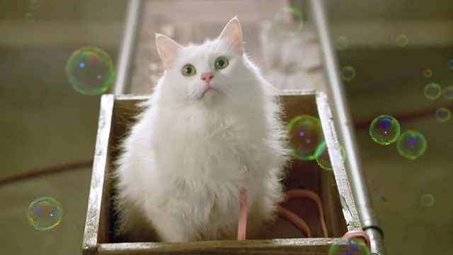 The Little Rascals Save the Day - longhair white cat Princess Flufferina surrounded by green bubbles heading into machine