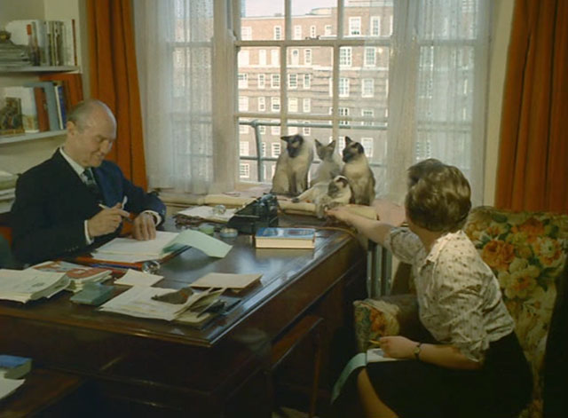 Look at Life - The Price of Valour - four Siamese cats Pooni, Tomkin, Blue Magnolia and Blue Leander sitting on windowsill by the desk of Brigadier Sir John G. Smyth with his wife