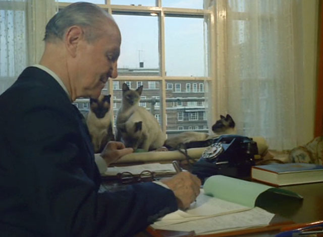 Look at Life - The Price of Valour - four Siamese cats Pooni, Tomkin, Blue Magnolia and Blue Leander sitting on windowsill behind Brigadier Sir John G. Smyth