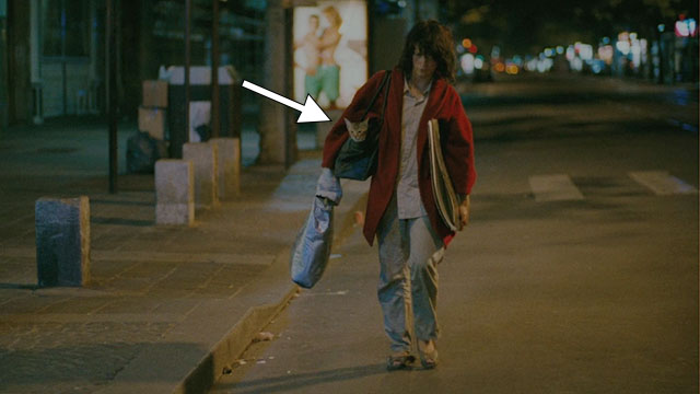 The Lovers on the Bridge - Les Amants du Pont-Neuf - Michele Juliette Binoche walking down street with Abyssinian cat Louisiana in bag