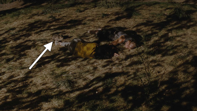 The Lovers on the Bridge - Les Amants du Pont-Neuf - Michele Juliette Binoche and Alex Denis Lavant lying in park with Abyssinian cat Louisiana at their feet