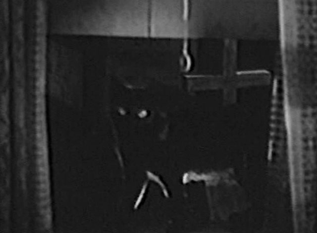 Lucky Ghost - black cat wearing ribbon in window