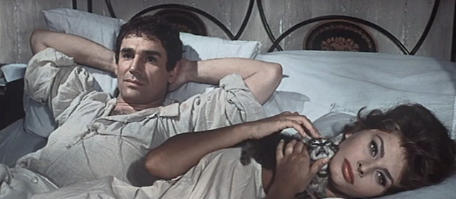 Madame Sans Gêne - Catherine Sophia Loren cuddling roughly a grey tabby kitten in bed with Lefebvre Robert Hossein