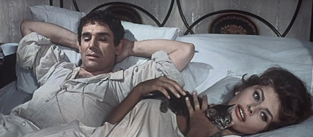 Madame Sans Gêne - Catherine Sophia Loren cuddling roughly a grey tabby kitten in bed with Lefebvre Robert Hossein