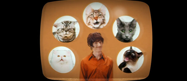 Mad Cats - Jake Watson Michael Aaron Stone in cat breeder commercial