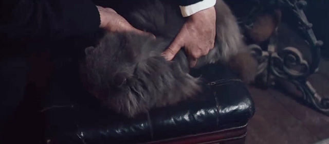 The Man Who Invented Christmas - hands about to pick up gray Persian cat Mittens George from chair