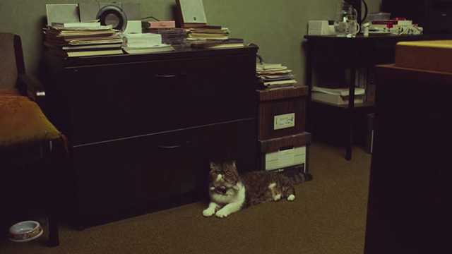 Marriage Story - tabby and white cat lying on floor of Spitz' office