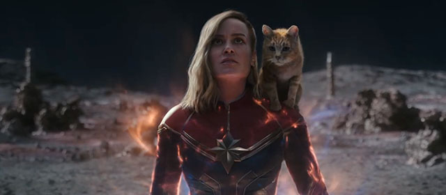 The Marvels - ginger tabby cat Flerken Goose sitting on shoulder of Carol Captain Marvel Brie Larson