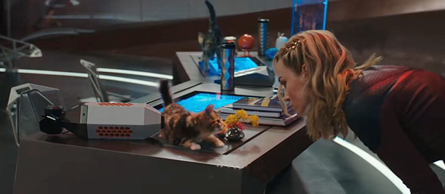 The Marvels - Carol Captain Marvel Brie Larson looking at tortoiseshell kitten Flerken