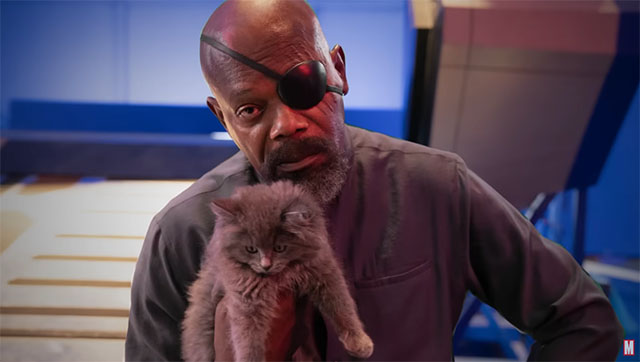The Marvels - Nick Fury Samuel L. Jackson holding longhair grey kitten Flerkitten