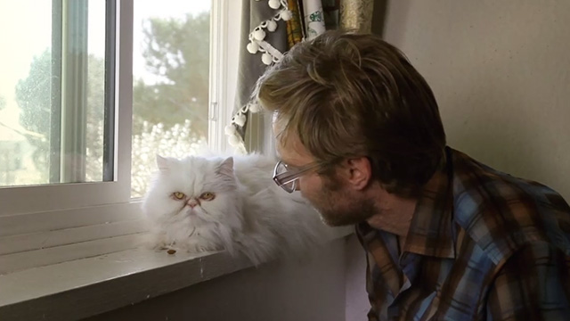 Meet Me in Montenegro - Anderson Alex Holdridge with white Persian cat