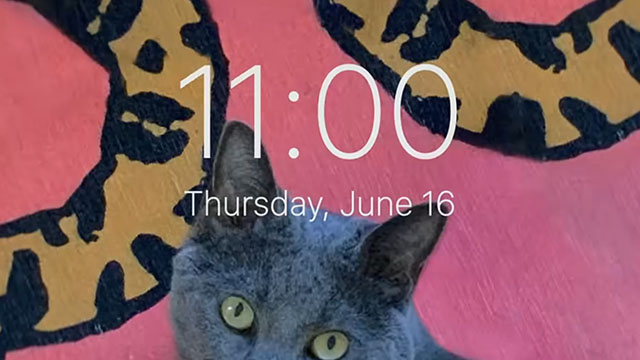 Missing - gray blue cat Caesar as June's phone lock screen