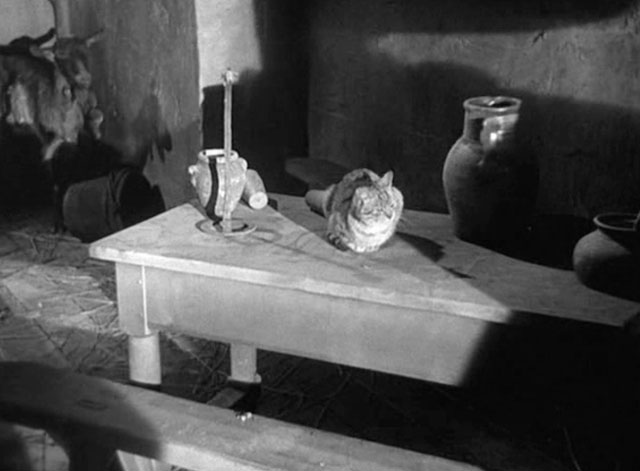 Monsieur Vincent - tabby cat sitting on table