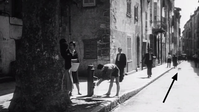 Night Ambush - Major Fermor Dirk Bogarde with cat zigzagging down street in background