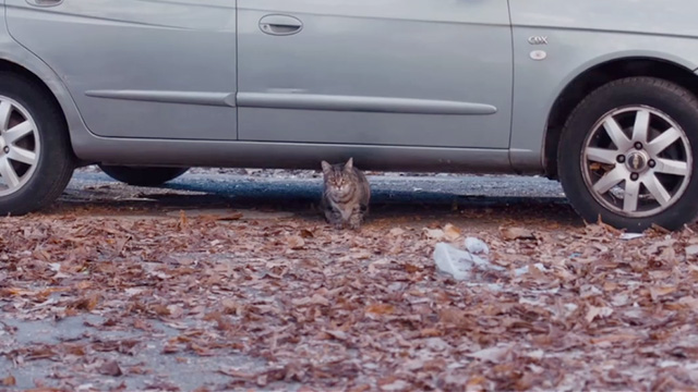 Night Eats the World - tabby cat coming out from underneath car