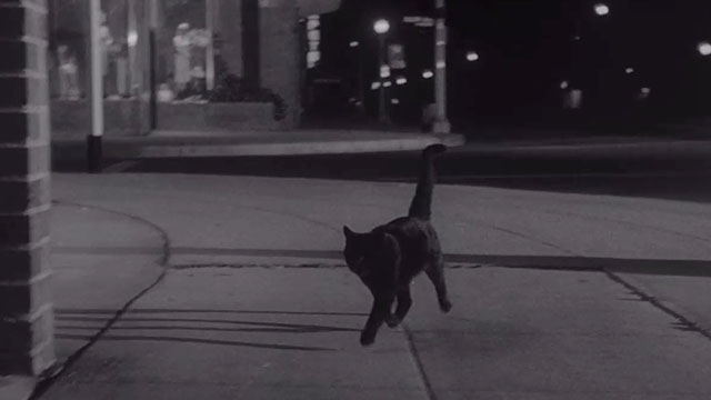 The Night Walker - black cat running down sidewalk at night