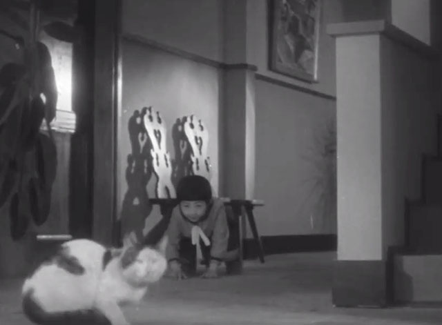 No Blood Relation - Shigeko Toshiko Kojima chasing white and tabby cat on floor