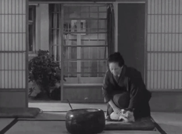 No Blood Relation - Kishiyo Fumiko Katsuragi grabbing for white and tabby cat on cushion