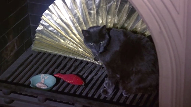 No Way to Treat a Lady - blue cat Pickles in fireplace