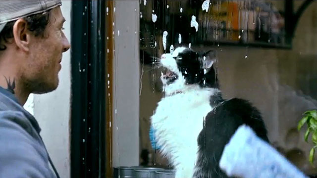 Nowhere Special - John James Norton cleaning window with longhair tuxedo cat on meowing inside