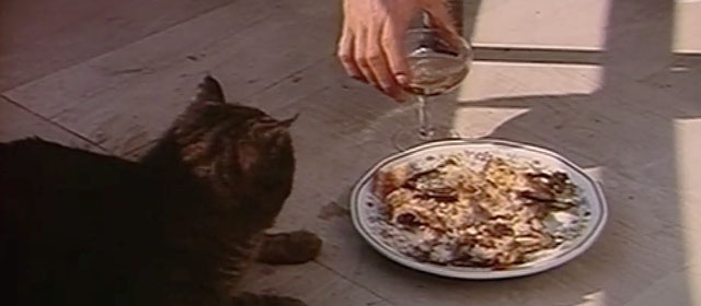 Oasis of Fear - tabby cat sitting on ground with plate of food and glass of champagne