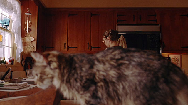 Office Killer - longhair brown tabby cat on counter in front of Dorine Carol Kane