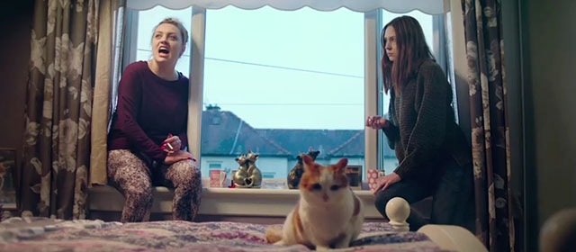 The Party's Just Beginning - Donna Rachel Jackson and Luisaidh Karen Gillan sitting on windowsill with orange and white cat on bed