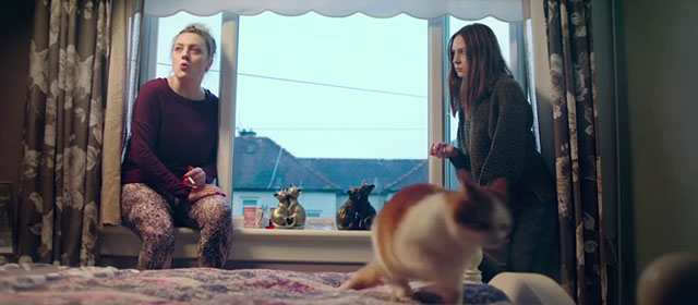 The Party's Just Beginning - Donna Rachel Jackson and Luisaidh Karen Gillan sitting on windowsill with orange and white cat running off bed