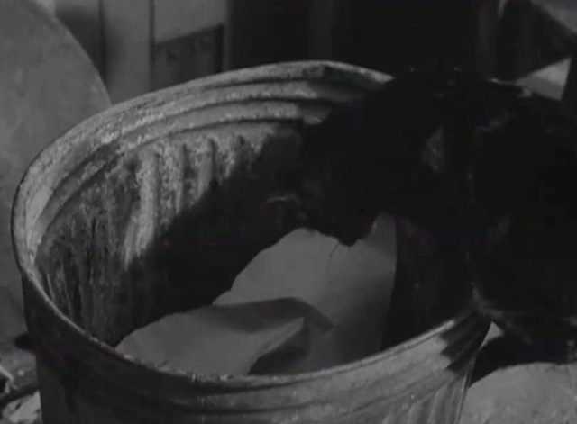 Postman's Knock - tabby cat climbing into garbage can