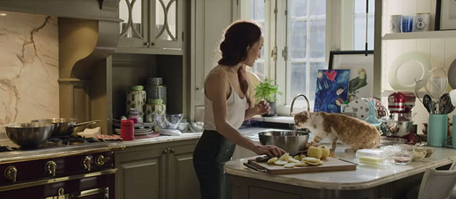The Protégé - Anna Maggie Q cooking with ginger and white tabby cat on counter