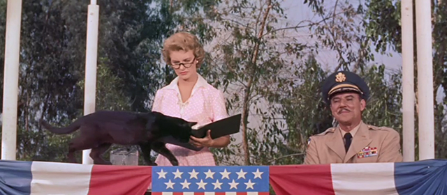 Rally 'Round the Flag, Boys - black cat crossing in front of Grace Joanne Woodward and General Thorwald Gale Gordon