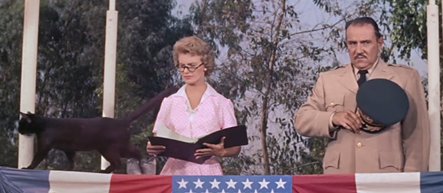 Rally 'Round the Flag, Boys - black cat crossing back in front of Grace Joanne Woodward and General Thorwald Gale Gordon