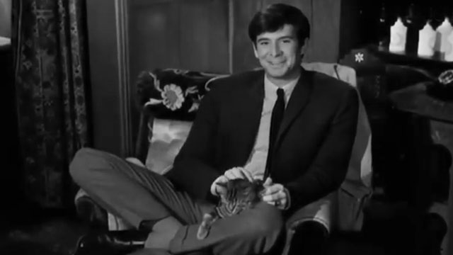 A Ravishing Idiot - Agent 38-24-36 - Harry Anthony Perkins sitting with tabby cat Kemal on his lap