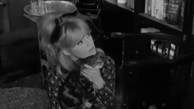 A Ravishing Idiot - Agent 38-24-36 - Penny Brigitte Bardot holding tabby cat Kemal