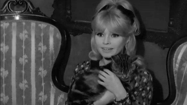 A Ravishing Idiot - Agent 38-24-36 - Penny Brigitte Bardot holding tabby cat Kemal