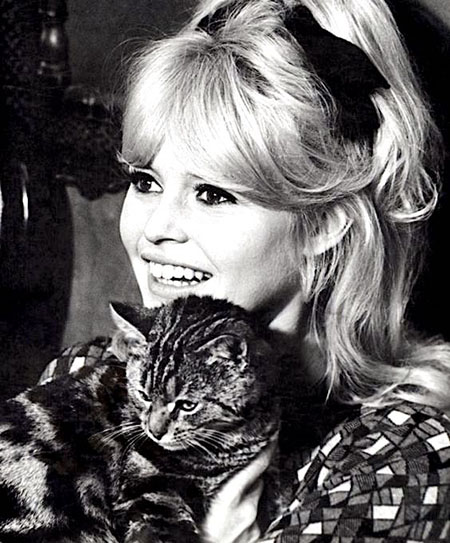 A Ravishing Idiot - Agent 38-24-36 - tabby cat Kemal with Penny Brigitte Bardot publicity photo