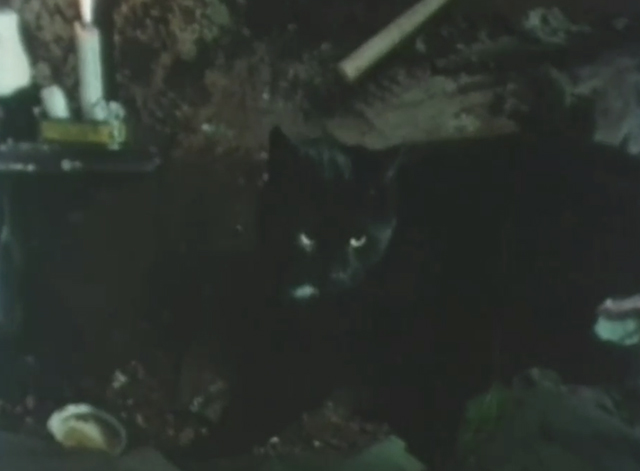 Rogue Male - black cat Asmodeus in underground shelter