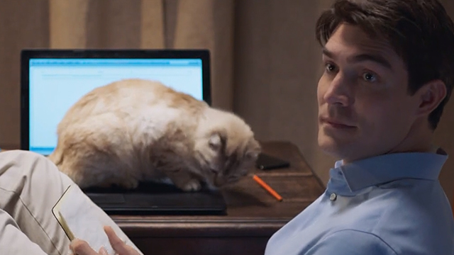 Rome in Love - tabby point Siamese Dante at desk with Philip Peter Porte