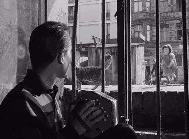 Rosemary - Walter Jo Herbst playing accordian inside window as little girl approaches and tabby cat