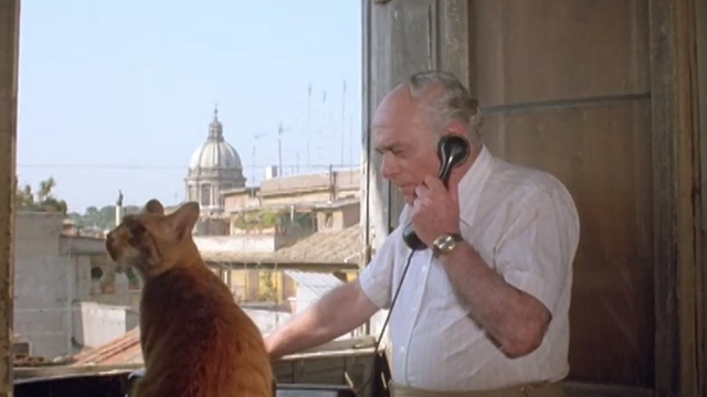 The Salamander - ginger tabby cat on counter in front of Steffanelli Martin Balsam