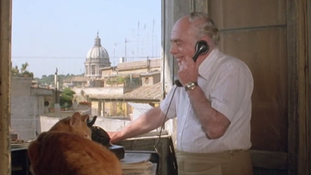 The Salamander - ginger tabby cat on counter in front of Steffanelli Martin Balsam